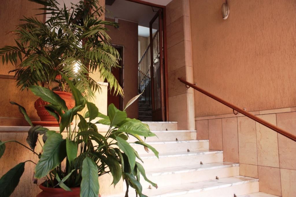 Sweet Dreams In St Peter B&B Rome Extérieur photo